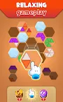Screenshot 8: Hexa Puzzle 3D - Color Sorting