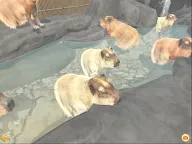 Screenshot 10: Capybara Spa