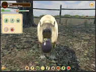 Screenshot 13: Capybara Spa