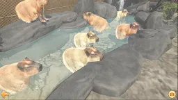 Screenshot 1: Capybara Spa
