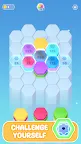 Screenshot 3: Hexa Sorting Puzzle
