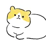 Icon: 이상한 고양이
