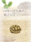 Screenshot 6: Healing Turtle Training Game