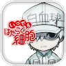 Icon: Itsudemo Hataraku Saibou