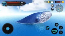 Screenshot 18: The Blue Whale
