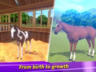 Screenshot 10: Derby Life