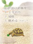 Screenshot 5: Healing Turtle Training Game