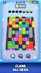 Screenshot 14: Hexa Block Jam: Color Puzzle