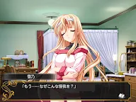 Screenshot 1: 恋する乙女と守護の楯