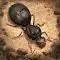 The Ants: Underground Kingdom 