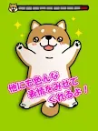 Screenshot 9: 搔癢狗狗