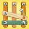 Wood Screw Puzzle