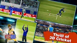 Screenshot 12: Juego de críquet 3D