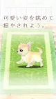 Screenshot 5: Healing Puppy Training Game -Chiwawa Hen〜
