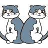Icon: Find the Difference With Cats