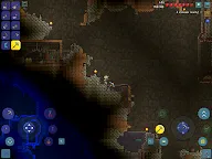 Screenshot 16: 泰拉瑞亞