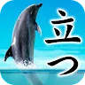 Icon: Can Dolphin Stand?