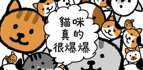 Screenshot 19: 貓咪真的很爆爆