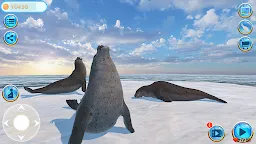 Screenshot 8: 海豹島