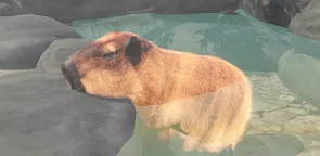 Screenshot 15: Capybara Spa