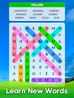 Screenshot 20: Word Search