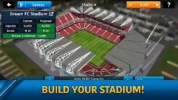 Screenshot 11: Dream League Soccer