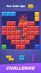 Screenshot 7: Block Puzzle: Block Color Game