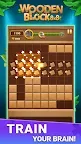 Screenshot 4: Block Puzzle: Wooden Block 8x8