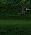 Screenshot 5: InWonderland