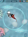 Screenshot 18: Zen Koi