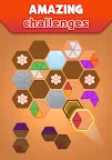 Screenshot 15: Hexa Puzzle 3D - Color Sorting