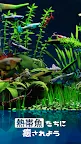 Screenshot 5: アクアプランツ〜熱帯魚と水草水槽の放置・育成ゲーム