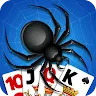 Icon: Spider Solitaire, large cards