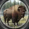 Icon: Hunting Wild: shooting hunter