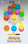 Screenshot 13: Hexa Sorting Puzzle
