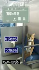 Screenshot 1: 脱出ゲーム　猫様の車窓からの脱出