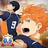 Icon: HAIKYU!! FLY HIGH