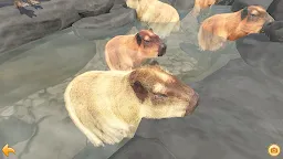Screenshot 9: 水豚溫泉