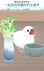 Screenshot 17: 幸福文鳥LIFE - 寵物飼養 -