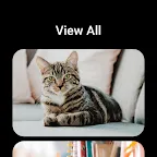 Screenshot 19: KakaoTalk: Free Calls & Text