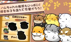 Screenshot 2: ハムスターライフ - 無料育成ゲーム