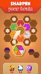 Screenshot 5: Hexa Puzzle 3D - Color Sorting