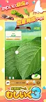 Screenshot 1: 虫育成ゲーム むしいく3