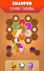 Screenshot 10: Hexa Puzzle 3D - Color Sorting