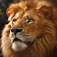 Beast Lord: The New Land | Traditional Chinese