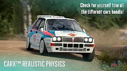 Screenshot 3: CarX Rally