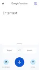 Screenshot 3: Google Translate