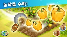 Screenshot 8: 패밀리 아일랜드 - 농장모험게임