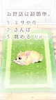 Screenshot 12: Healing Puppy Training Game -Chiwawa Hen〜