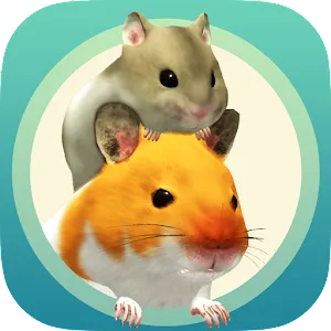 Life with hamster